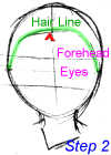 Step 2: Determining hair lines