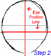 Step 2: Position of the eyes